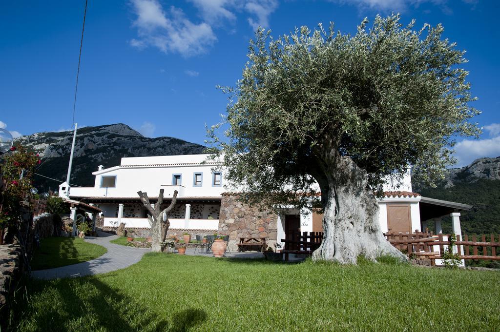 Turismo Rurale Belvedere Pradonos Dorgali Εξωτερικό φωτογραφία
